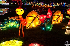 Chinese Lantern Festival