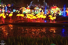 Chinese Lantern Festival