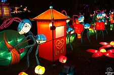 Chinese Lantern Festival