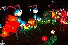 Chinese Lantern Festival