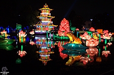 Chinese Lantern Festival