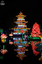 Chinese Lantern Festival