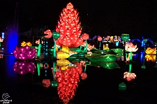 Chinese Lantern Festival