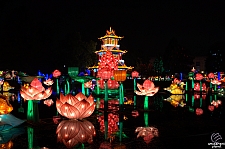 Chinese Lantern Festival