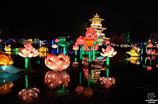 Chinese Lantern Festival