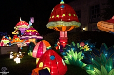 Chinese Lantern Festival