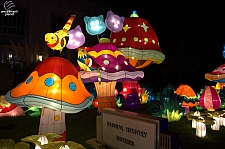 Chinese Lantern Festival