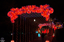 Chinese Lantern Festival