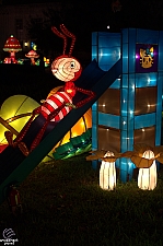 Chinese Lantern Festival