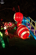 Chinese Lantern Festival