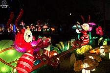 Chinese Lantern Festival