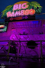 Big Bamboo