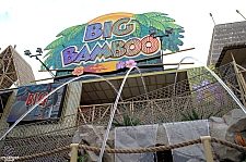 Big Bamboo