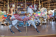 Dentzel Carousel