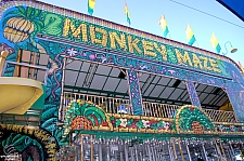 Monkey Maze