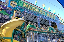 Monkey Maze