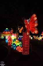 Chinese Lantern Festival