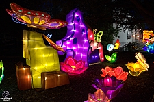 Chinese Lantern Festival