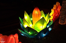 Chinese Lantern Festival