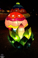 Chinese Lantern Festival