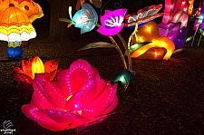 Chinese Lantern Festival