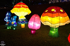 Chinese Lantern Festival