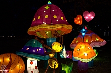 Chinese Lantern Festival