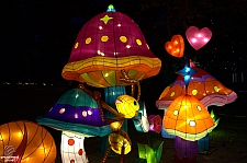 Chinese Lantern Festival