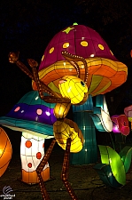 Chinese Lantern Festival