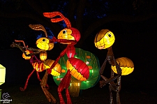 Chinese Lantern Festival