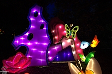 Chinese Lantern Festival