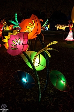 Chinese Lantern Festival