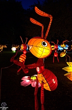 Chinese Lantern Festival