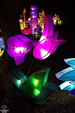 Chinese Lantern Festival