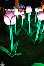 Chinese Lantern Festival