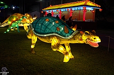 Chinese Lantern Festival