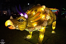 Chinese Lantern Festival