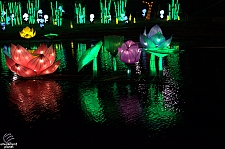 Chinese Lantern Festival