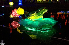 Chinese Lantern Festival