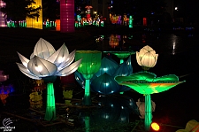 Chinese Lantern Festival