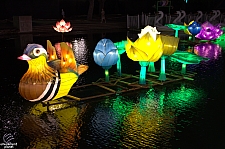 Chinese Lantern Festival