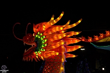 Chinese Lantern Festival