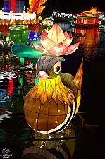 Chinese Lantern Festival