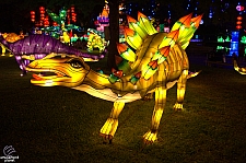 Chinese Lantern Festival