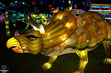 Chinese Lantern Festival