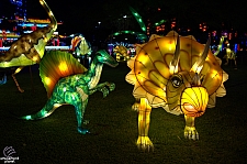 Chinese Lantern Festival