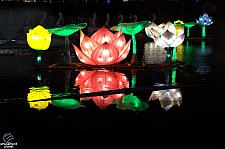 Chinese Lantern Festival