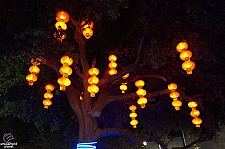 Chinese Lantern Festival