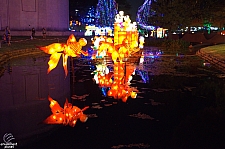 Chinese Lantern Festival