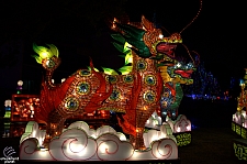 Chinese Lantern Festival